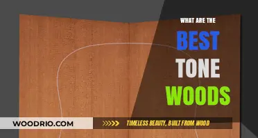 Exploring the Richest Tones: A Guide to Premium Tonewoods