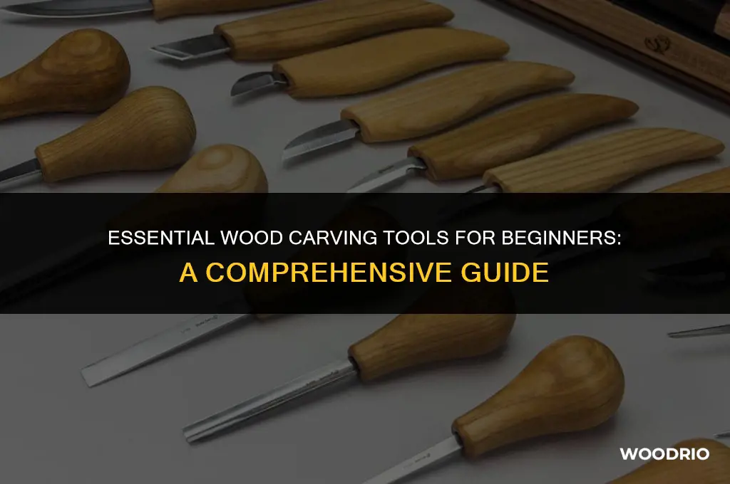 what are the best wood carving tools for beginners