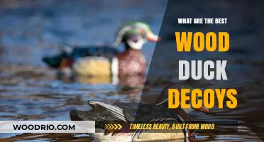 Top Wood Duck Decoys: A Hunter's Guide to Attracting Success