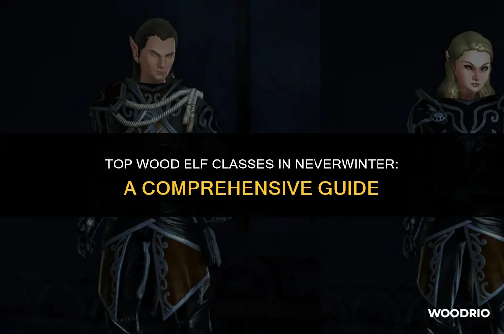 what are the best wood elf classes on neverwinter