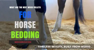 Comfort and Care: Selecting the Finest Wood Pellets for Horse Bedding