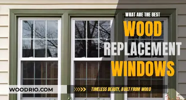 Top Wood Replacement Windows: A Comprehensive Guide for Homeowners