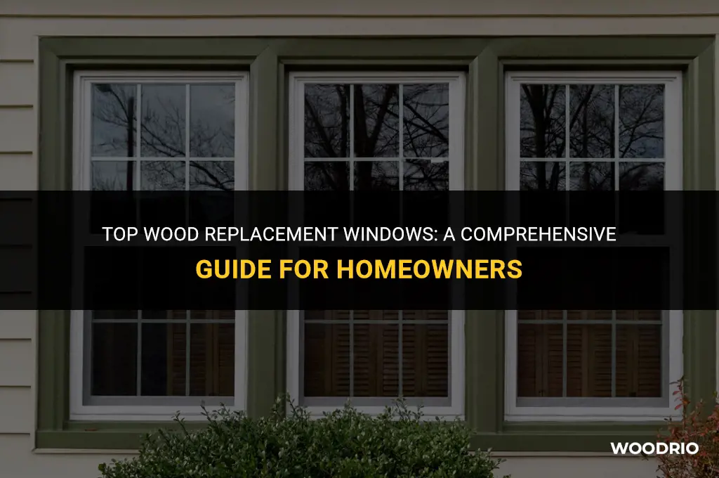 what are the best wood replacement windows