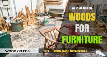 Crafting Timeless Pieces: A Guide to the Finest Furniture Woods