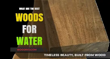 Exploring the Top Wood Choices for Water-Resistant Projects