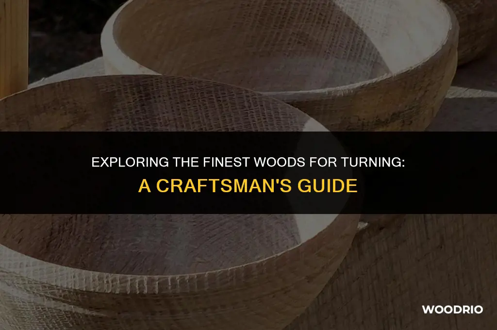 what are the best woods to turn