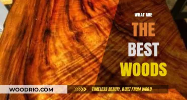 Exploring the Finest Wood Types for Your Next Project