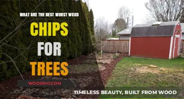 Decoding the Best and Worst Wood Chips for Your Trees