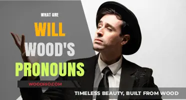 Respecting Identity: Understanding Will Wood's Pronoun Preferences