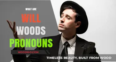 Respecting Identity: Understanding Will Wood's Pronoun Preferences