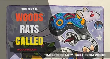 Exploring the Unique Names of Will Wood's Rats: A Fascinating Insight