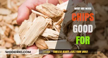 Exploring the Versatile Uses of Wood Chips in Gardening and Beyond