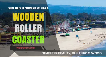 Discover California's Historic Wooden Roller Coaster on This Iconic Beach