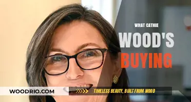 Cathie Wood's Latest Picks: Uncovering Her Top Investment Strategies