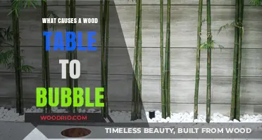 Why Wood Tables Bubble: Causes and Prevention Tips
