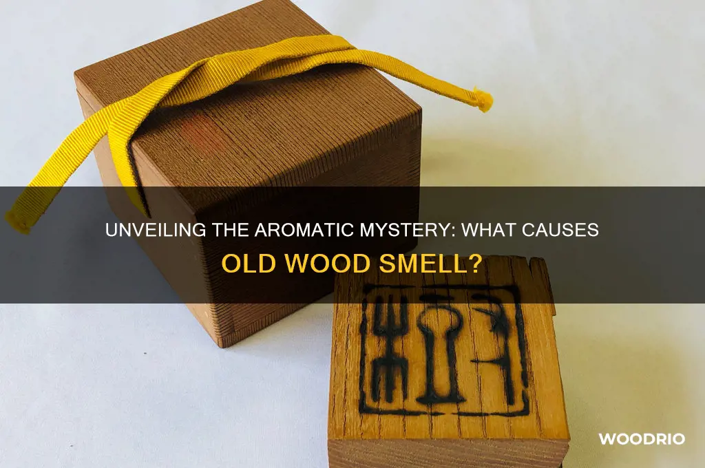 what causes old wood smell