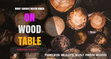 Understanding Water Rings: Causes and Prevention on Wood Tables