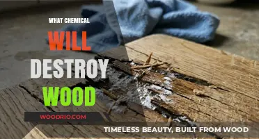 Effective Chemicals for Wood Destruction: A Comprehensive Guide