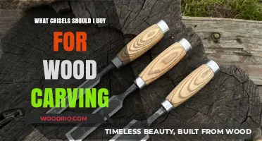Essential Wood Carving Chisels: A Beginner's Guide to Choosing the Best Tools