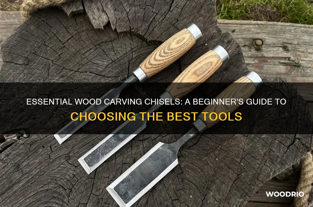 what chisels should i buy for wood carving