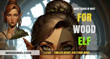 Unlocking the Secrets of Wood Elf Classes: A Comprehensive Guide