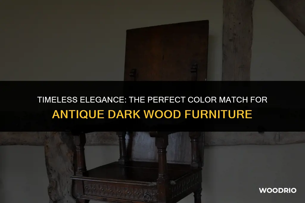 what color goes best with antique dark wood furniture