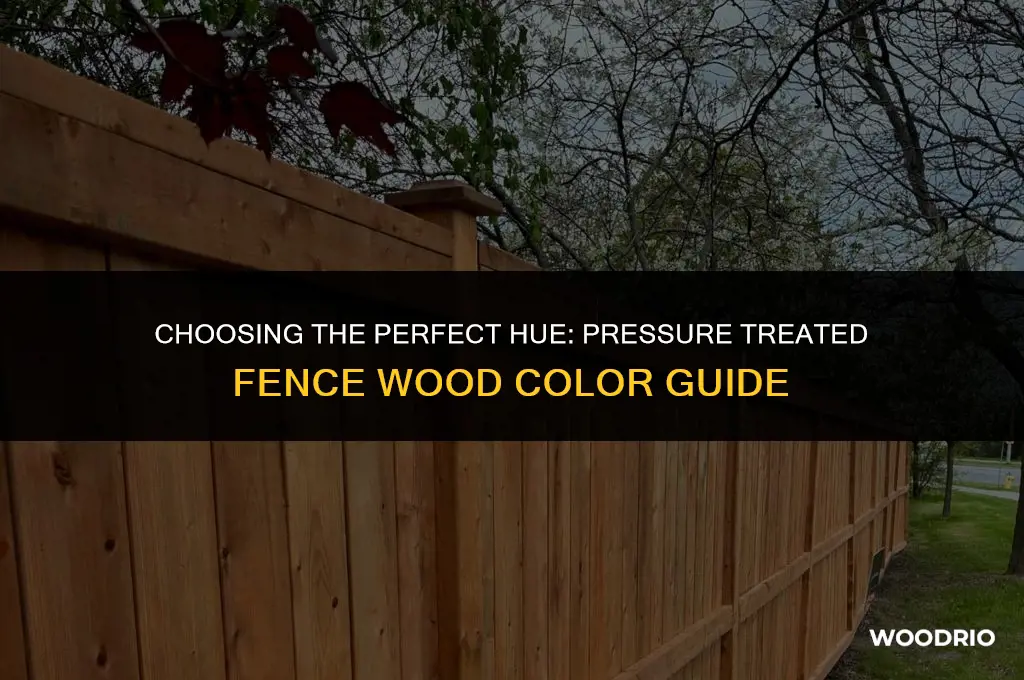 what color is best for pressure treated fence wood