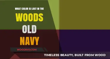 Lost in the Woods Old Navy: Unveiling the Missing Color Mystery