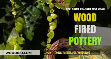 From Earth to Kiln: Exploring Corn Husk Color in Wood-Fired Pottery