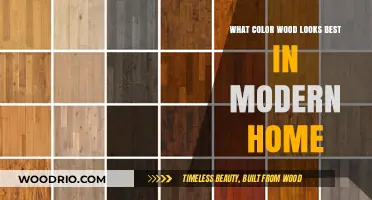 Timeless Elegance: Choosing the Perfect Wood Color for Modern Homes