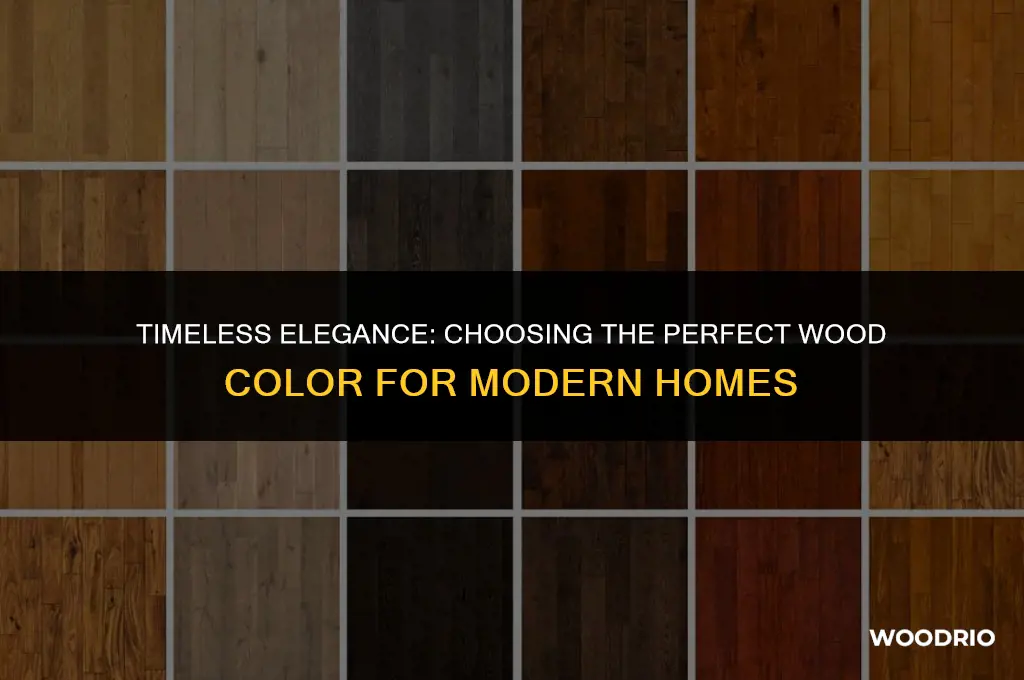 what color wood looks best in modern home