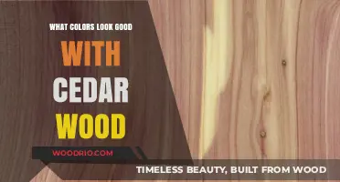 Harmonious Hues: Exploring Colors That Complement Cedar Wood