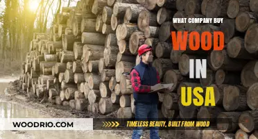 Top USA Companies Purchasing Wood: A Comprehensive Buyer's Guide