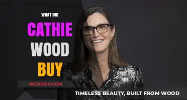 Cathie Wood's Latest Buys: Unveiling Her Top Investment Picks