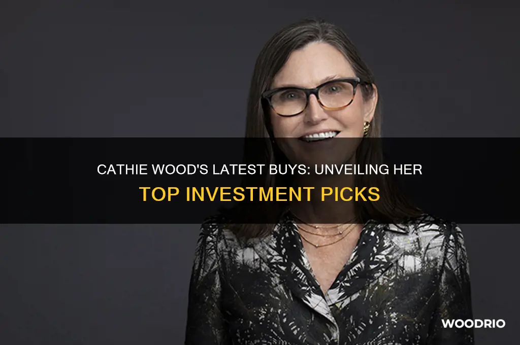 what did cathie wood buy