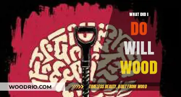 Exploring the Lyrical Depths of Will Wood's 'What Did I Do?