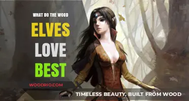 Enchanted Forests: Unveiling the Wood Elves' Greatest Loves