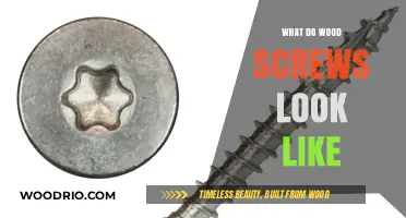 Exploring Wood Screws: A Visual Guide to Their Appearance