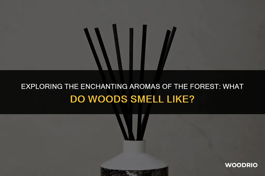 what do woods smell like