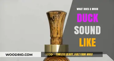 Echoes of the Wood Duck: Unraveling the Mysteries of Their Calls