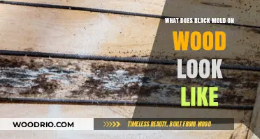 Identifying Black Mold on Wood: A Visual Guide