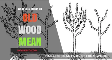 Understanding 'Bloom on Old Wood': A Guide to Fruit Tree Pruning