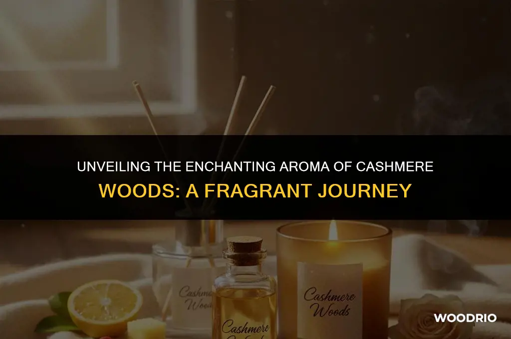 what does cashmere woods smell like