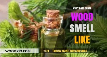 Unveiling the Aromatic Mystery: What Does Cedar Wood Smell Like?