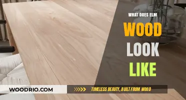 Unveiling the Beauty: What Elm Wood Really Looks Like