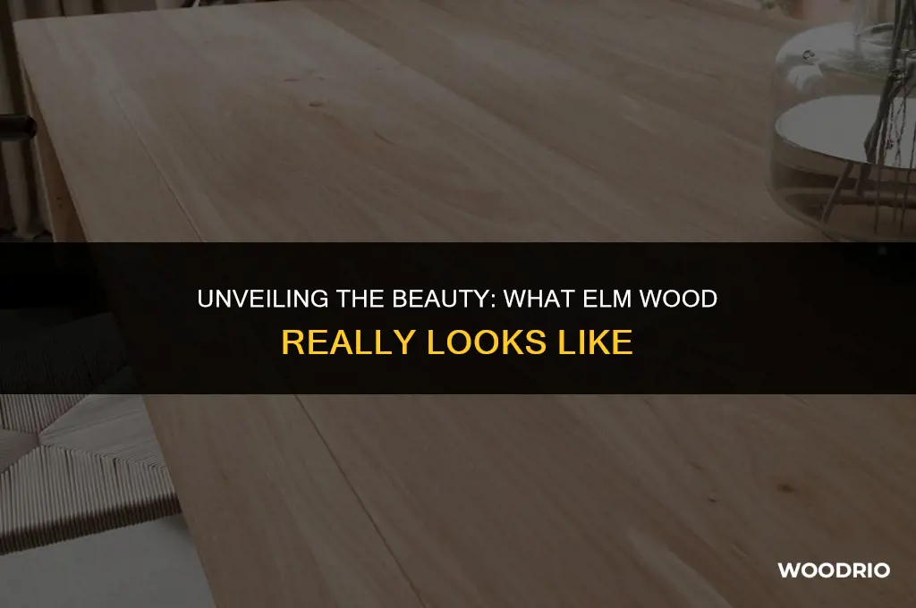 what does elm wood look like
