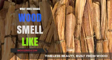 Exploring the Rich, Woody Aroma of Guaiac Wood: A Sensory Journey
