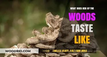 Exploring the Unique Flavor Profile of Hen of the Woods Mushroom