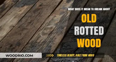 Decaying Dreams: Unraveling the Meaning of Old Rotted Wood Visions