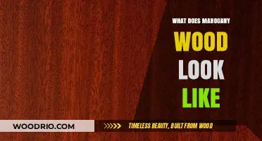 Exploring the Rich Beauty of Mahogany Wood: A Visual Guide